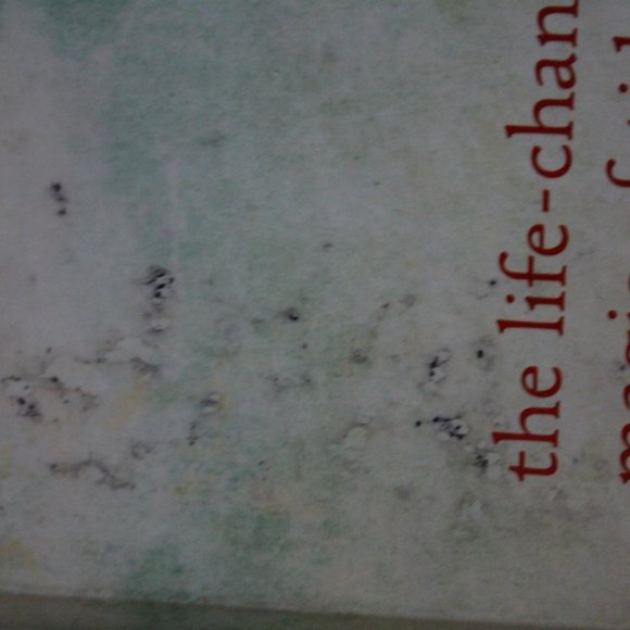 Marie Kondo - Life Changing Magic of Tidying Up - Picture 3 of 3